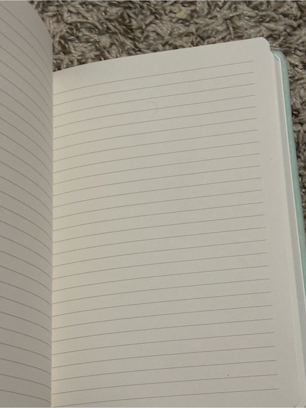 Mint green notebook with soft velvet cover and lined pages - Picture 3 of 4